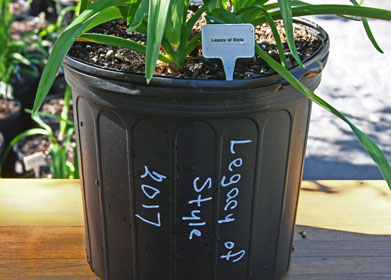 Label 280x390 IMG_5682