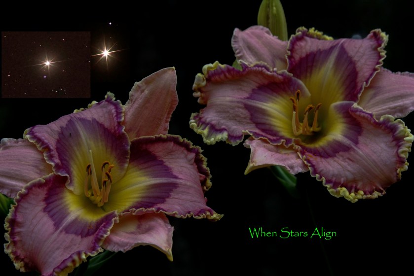 When Stars Align Text 8 June 18 IMG_7094